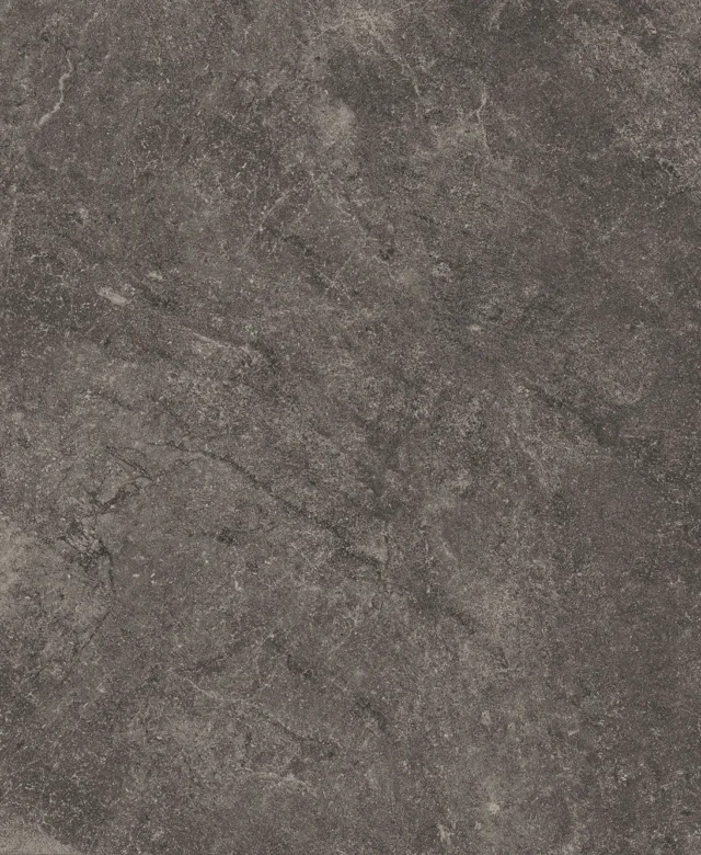 LAP-0081