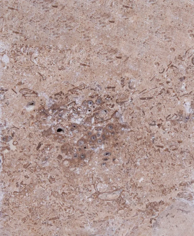 Latte PREMIUM Tumbled Travertine, 10 x 10 x 1.2 cm
