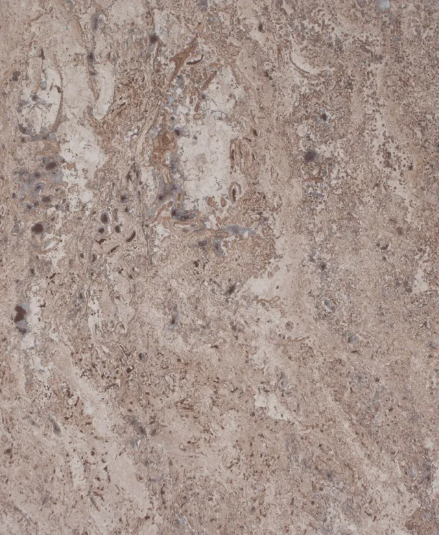 Latte PREMIUM Honed Travertine, 30.5 x 30.5 x 1.2 cm